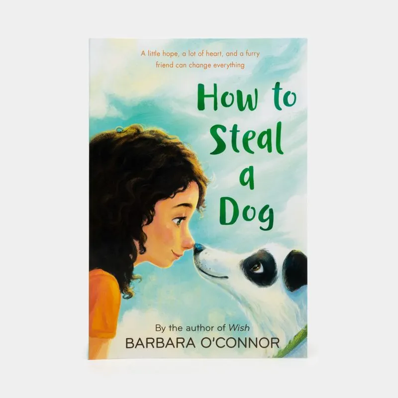 How To Steal A Dog