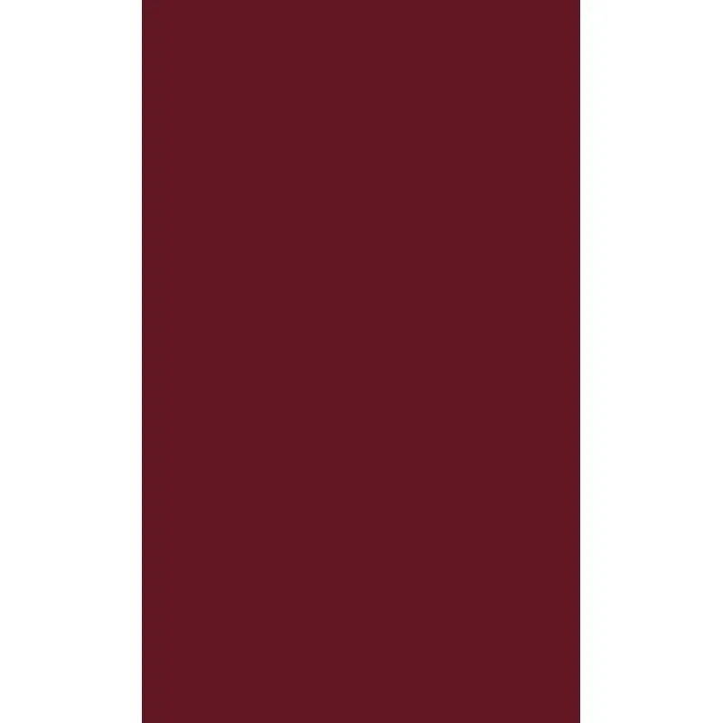 The Congressman
