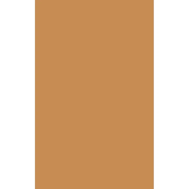 Computation in Linguistics