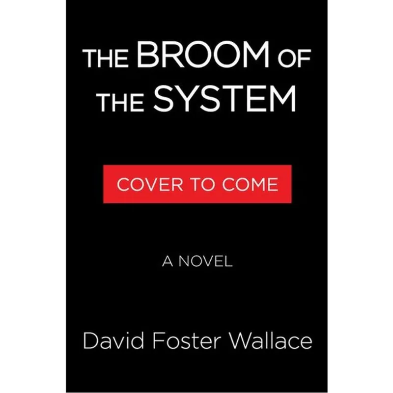THE BROOM OF THE SYSTEM - A NOVEL