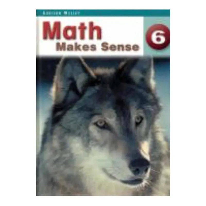 Livro Math Makes Sense 6