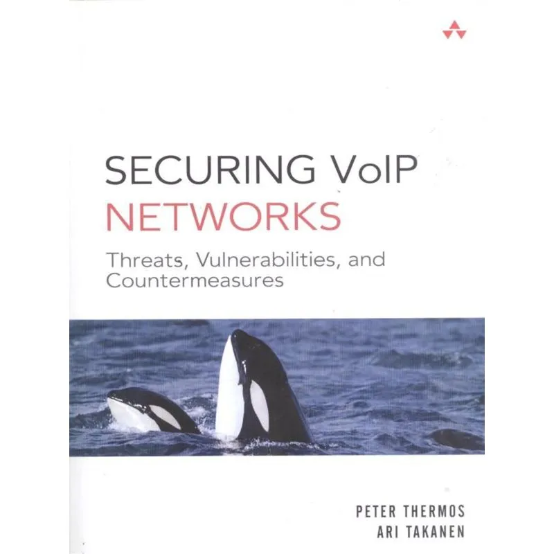 Securing Volp Networks