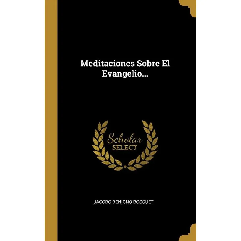 Meditaciones Sobre El Evangelio...