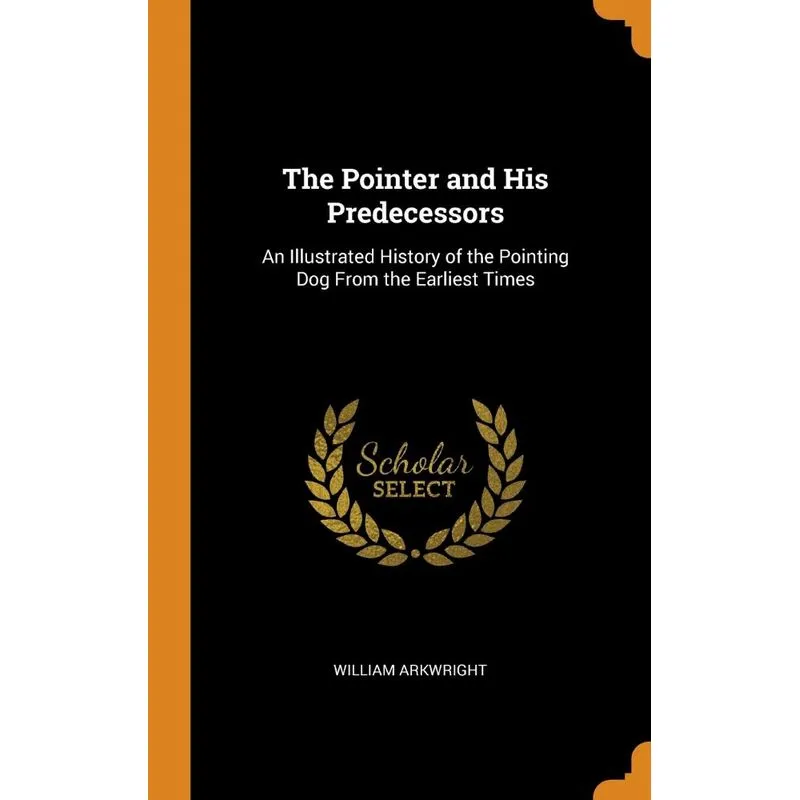 The Pointer and His Predecessors