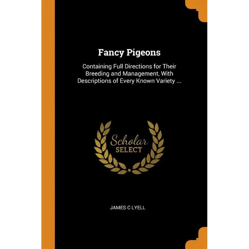 Fancy Pigeons