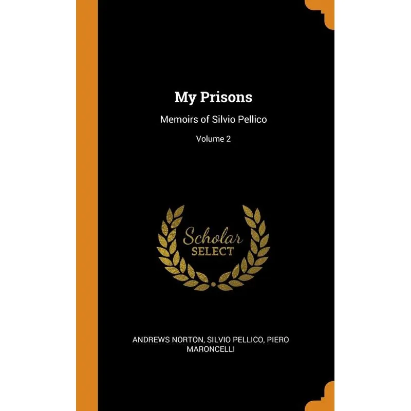 My Prisons