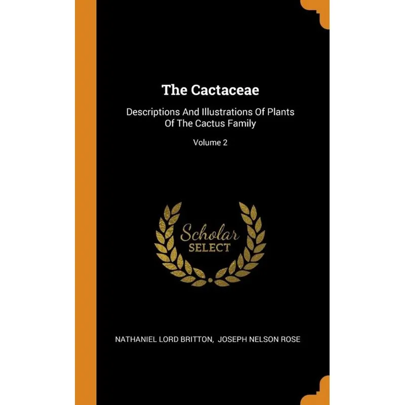 The Cactaceae