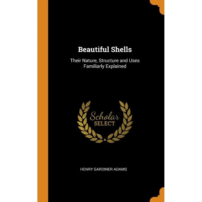 Beautiful Shells