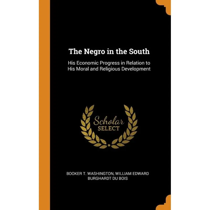 The Negro in the South