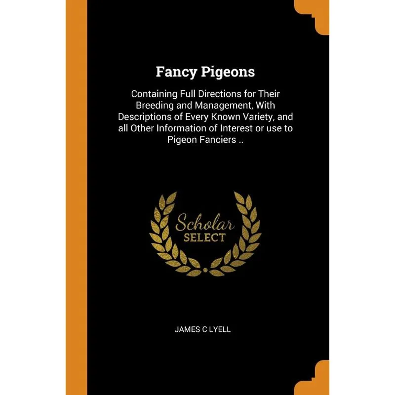 Fancy Pigeons