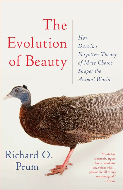 The Evolution of Beauty STANDARD
