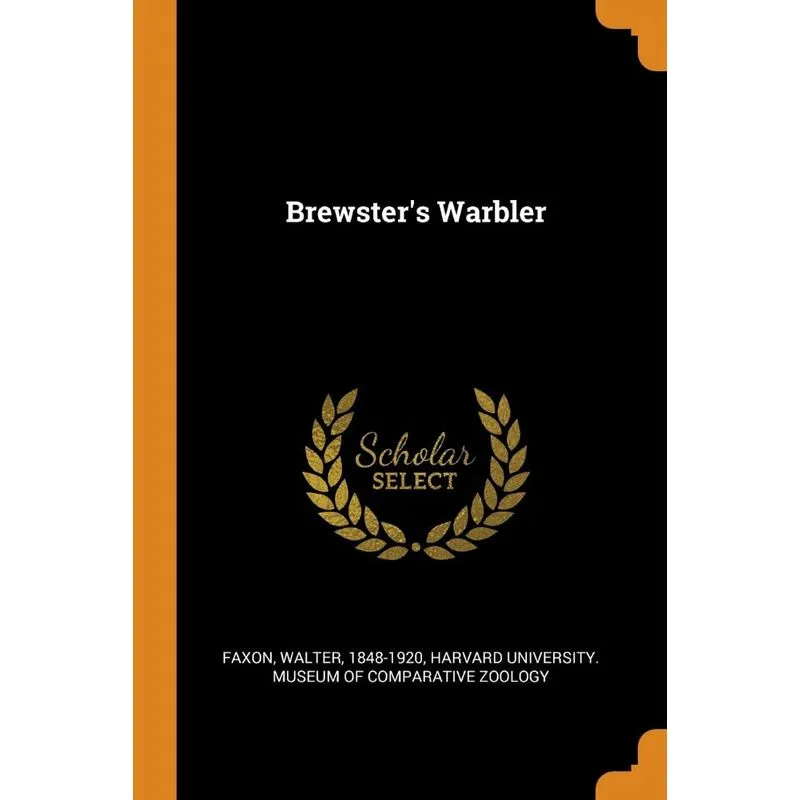 Brewsters Warbler