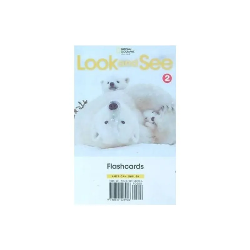 LOOK AND SEE 2 - FLASHCARD