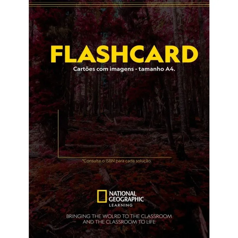 Imagine 1 Flashcards American English