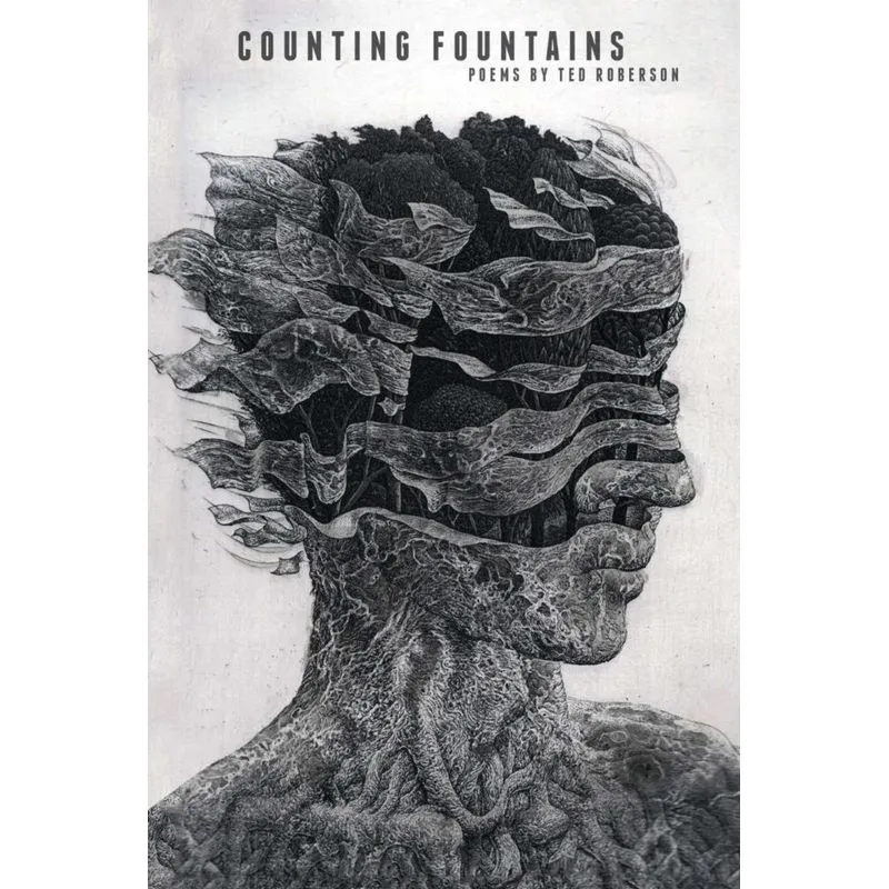 Counting Fountains