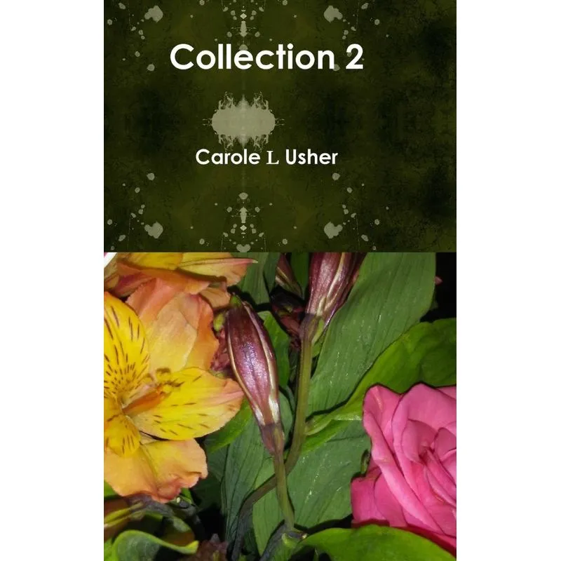 Collection 2