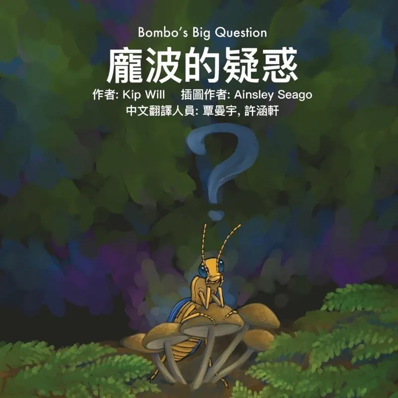 Bombos Big Question (Mandarin)