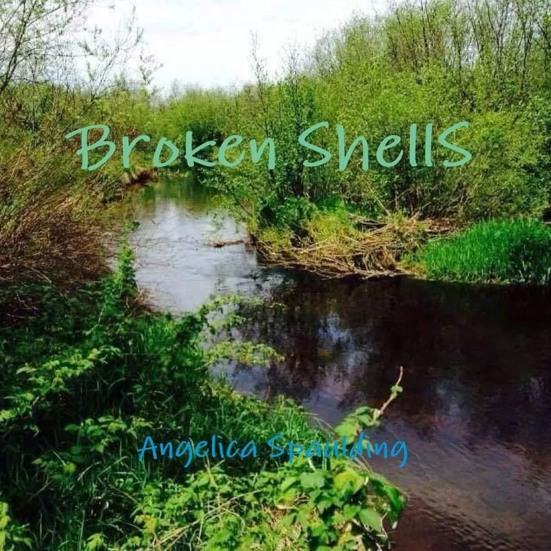 Broken Shells