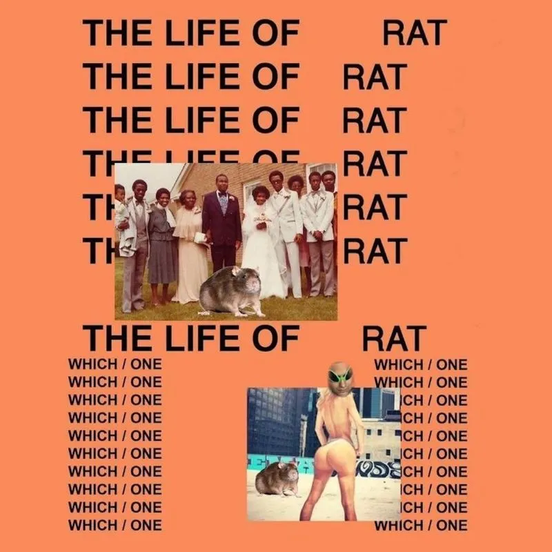 The Life Of Rat