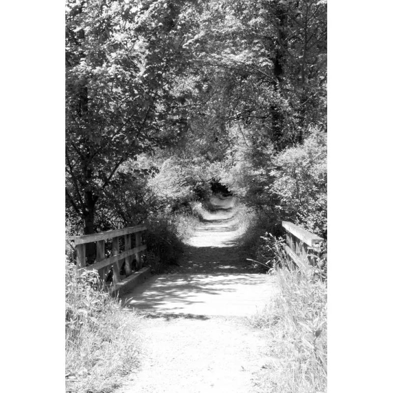 bridges