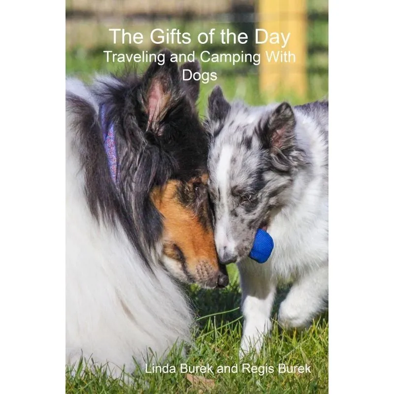 The Gifts of the Day