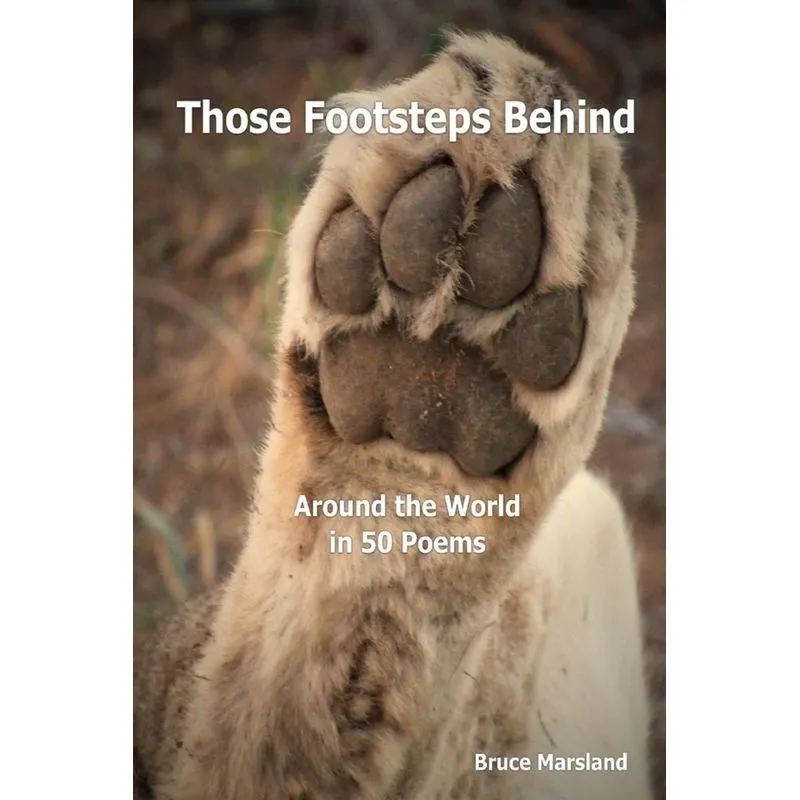 Those Footsteps Behind