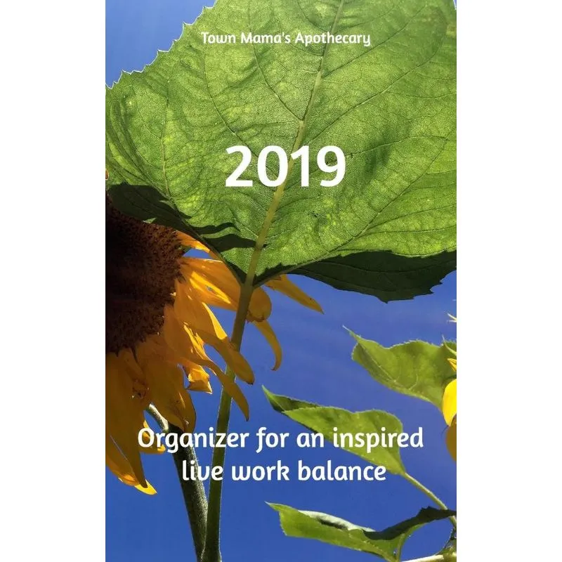 2019 Town Mama Planner