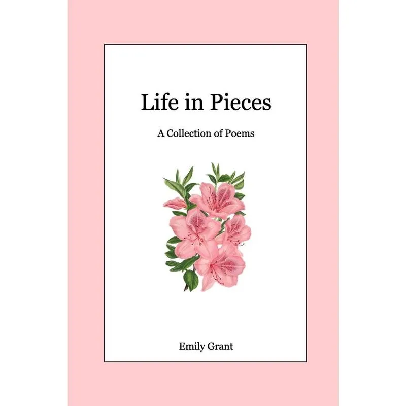 Life in Pieces