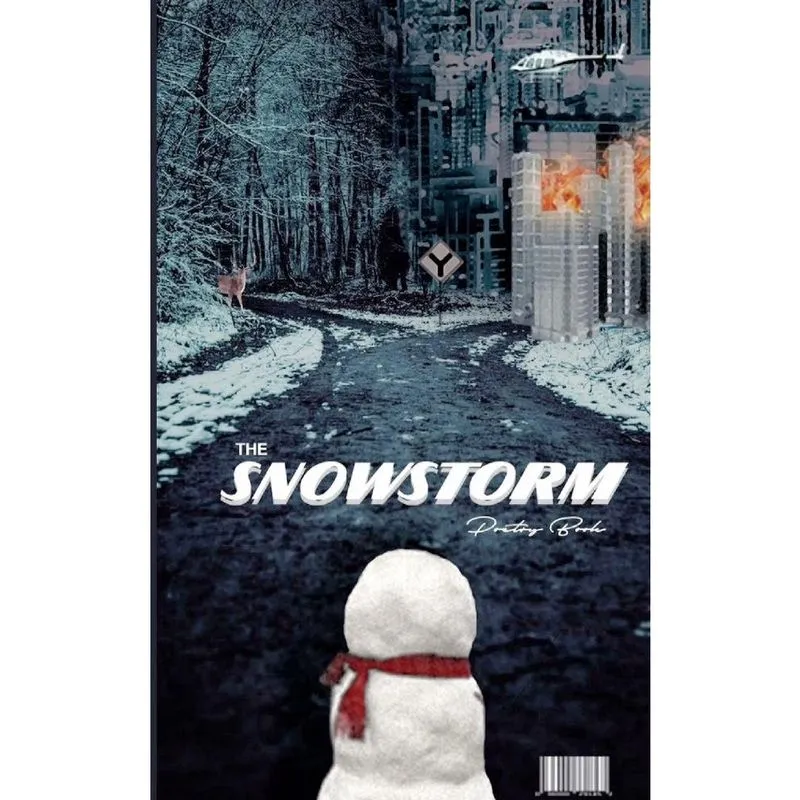 The SnowStorm