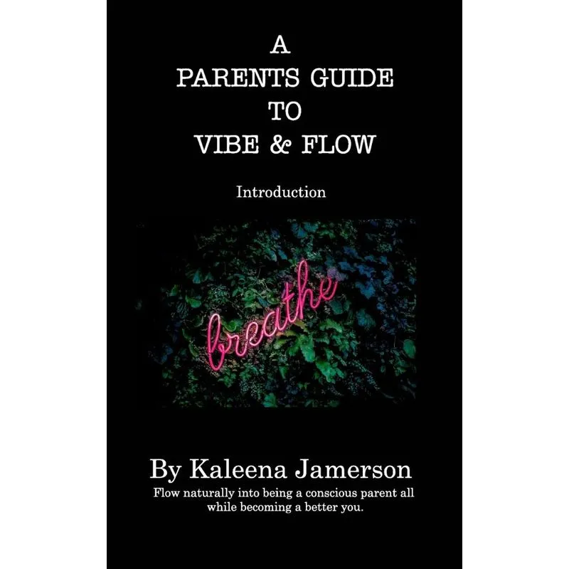 A Parents Guide To Vibe and Flow