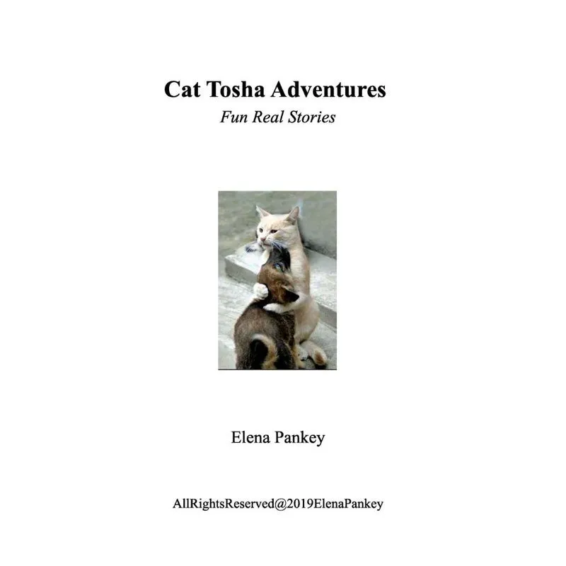 Cat Tosha Adventure