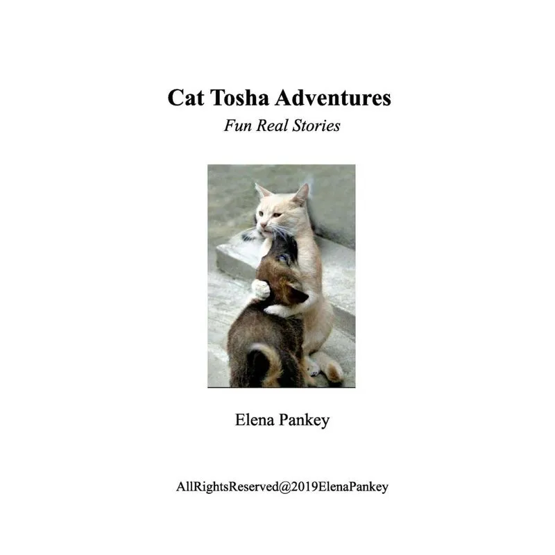 Cat Tosha Adventure