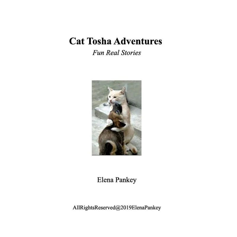 Cat Tosha Adventure