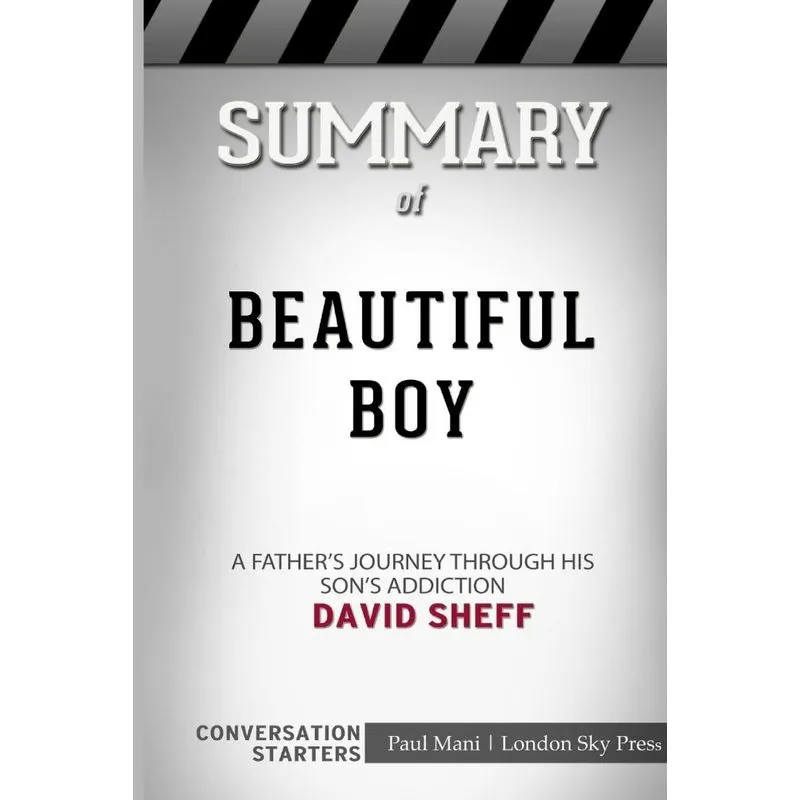 Summary of Beautiful Boy