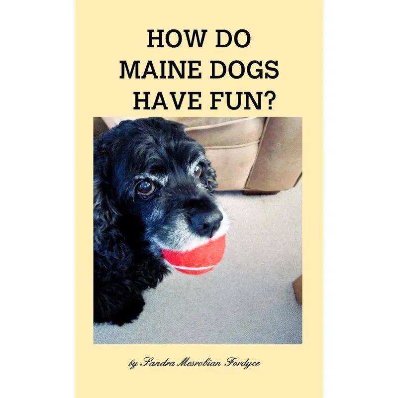 How Do Maine Dogs Have Fun?