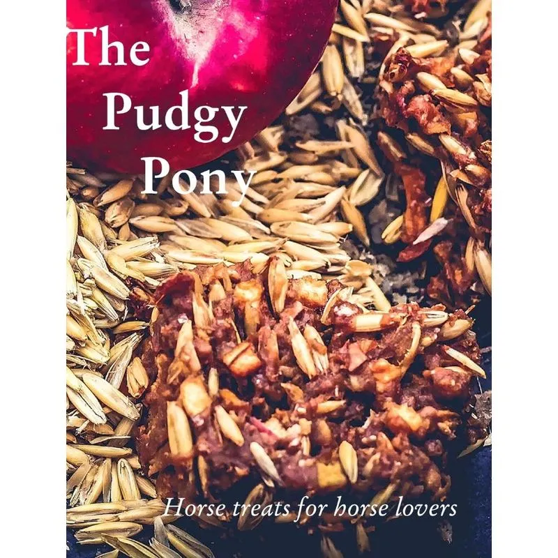 The Pudgy Pony