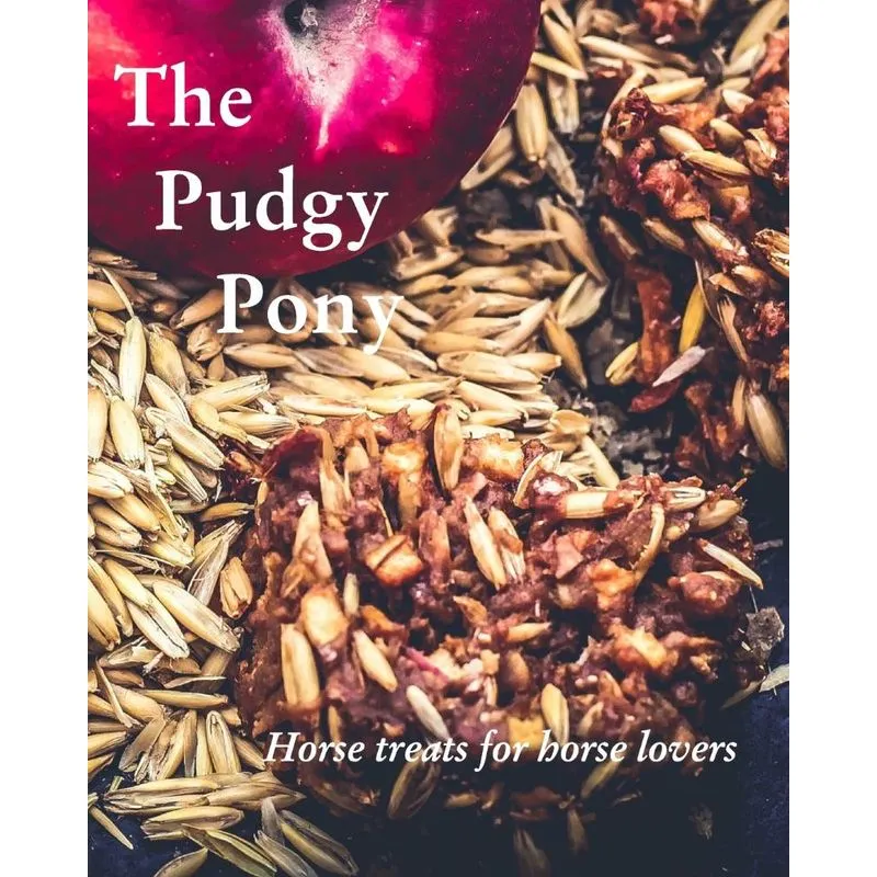 The Pudgy Pony