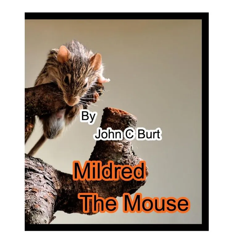 Mildred The Mouse.