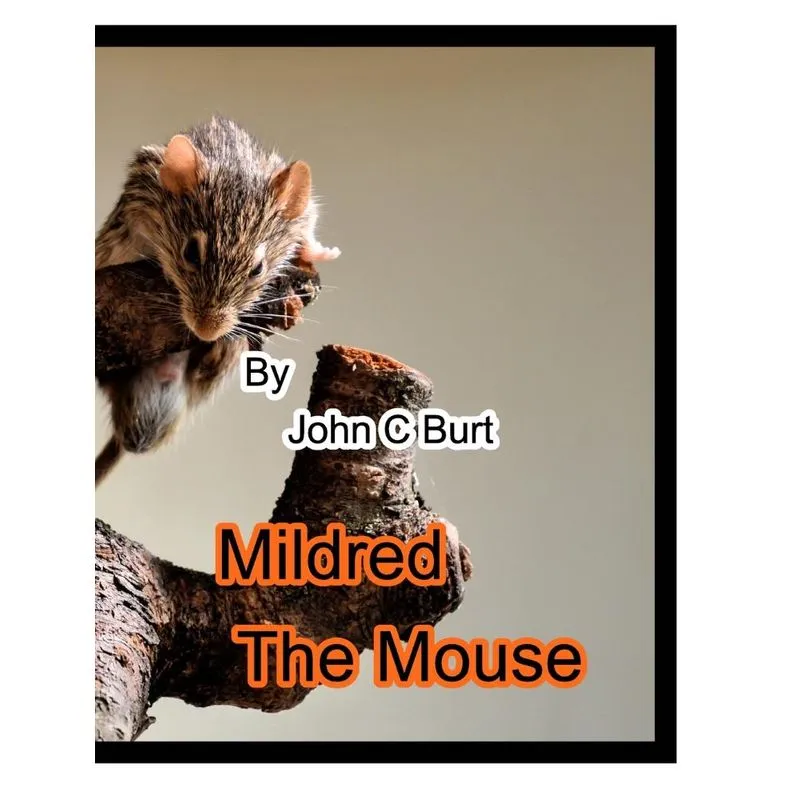 Mildred The Mouse.
