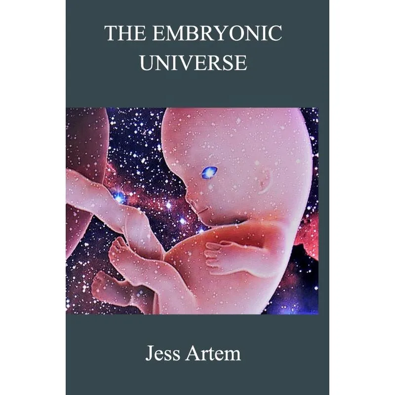 The Embryonic Universe