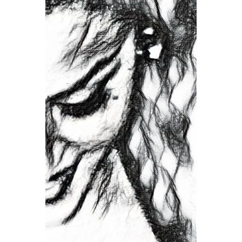 madonna drawing journal