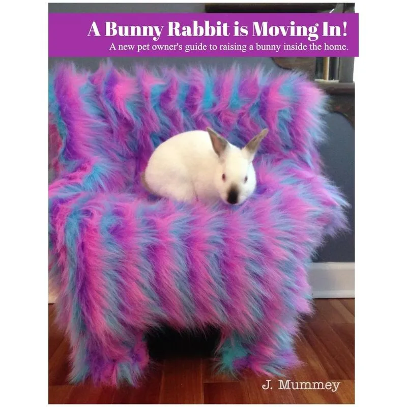 A Bunny Rabbit is Moving In!