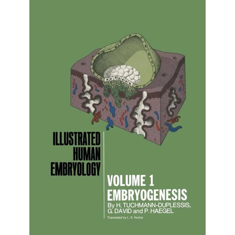 Embryogenesis