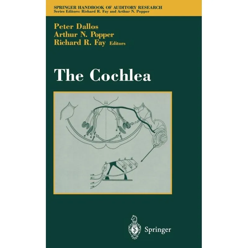The Cochlea