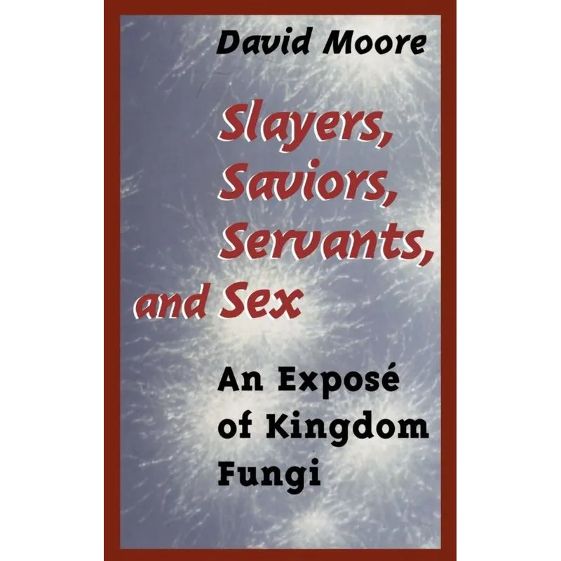 Slayers, Saviors, Servants and Sex
