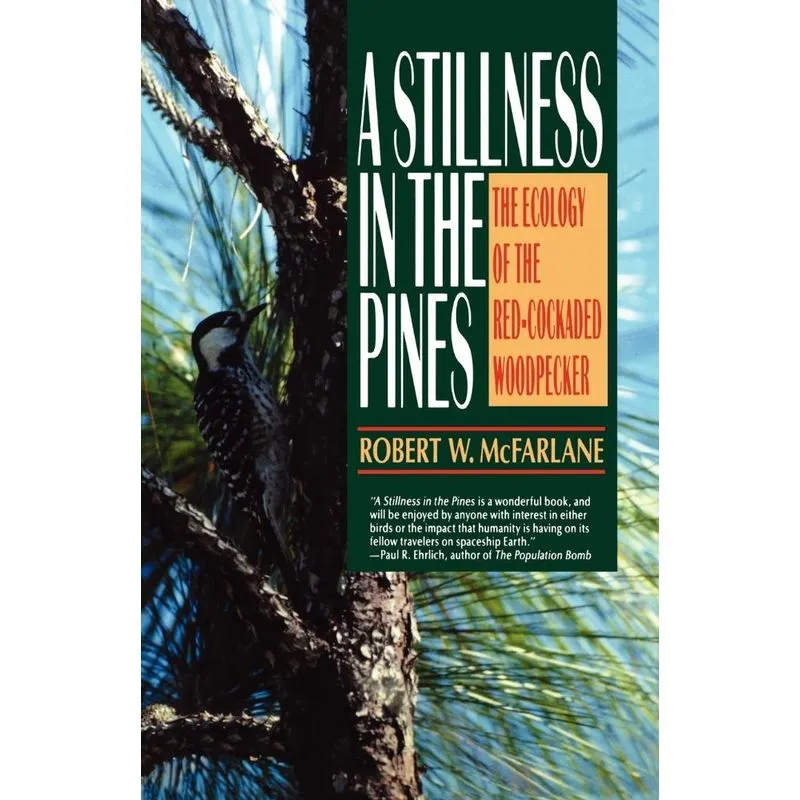 A Stillness In The Pines