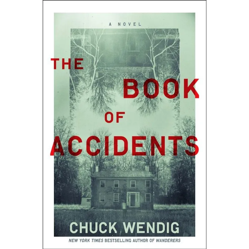 THE BOOK OF ACCIDENTS