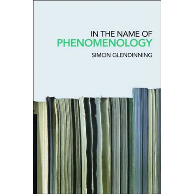 IN THE NAME OF PHENOMENOLOGY, THE