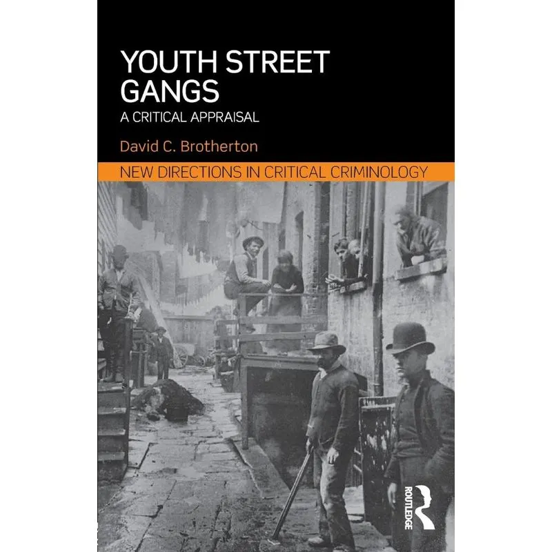 Youth Street Gangs