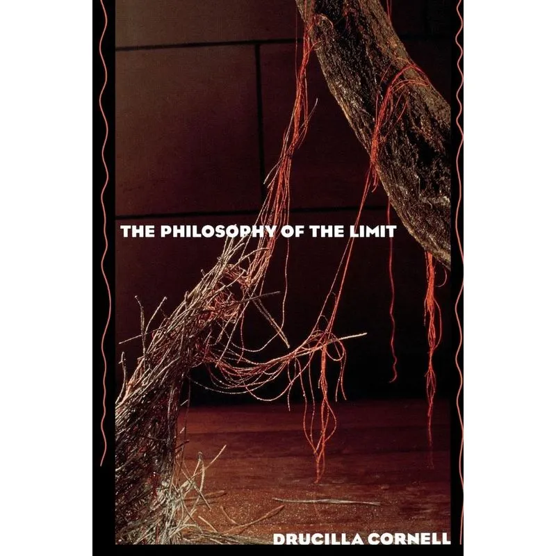 The Philosophy of the Limit